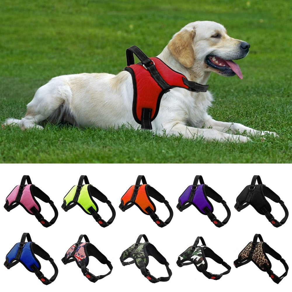 Pet Dog and Cat Adjustable Harness with Leash