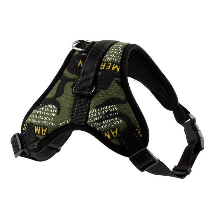 Pet Dog and Cat Adjustable Harness with Leash