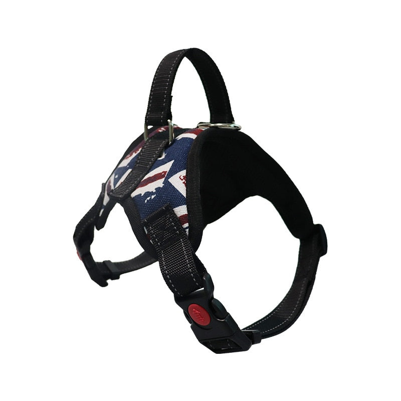 Pet Dog and Cat Adjustable Harness with Leash