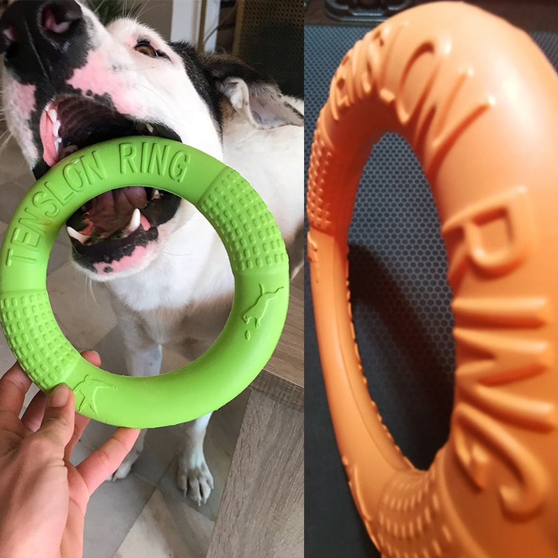 Dog Toys for Big Dogs EVA Interactive Training Ring