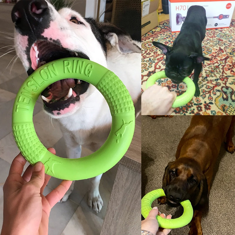 Dog Toys for Big Dogs EVA Interactive Training Ring