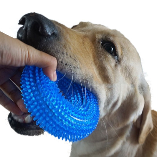 S/XL Squeak Chew Pet Toys For Golden Retriever