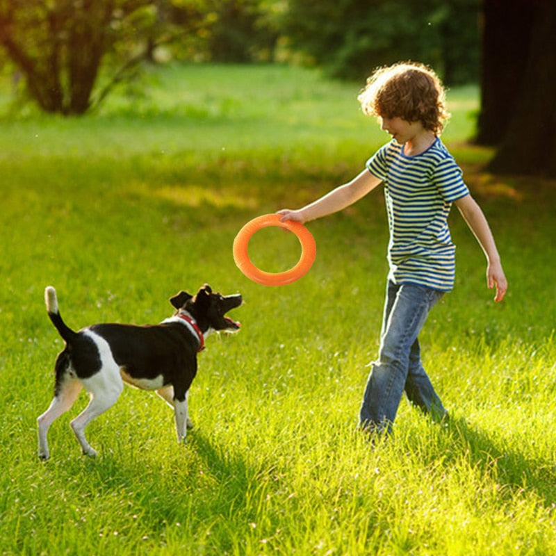 Dog Toys for Big Dogs EVA Interactive Training Ring