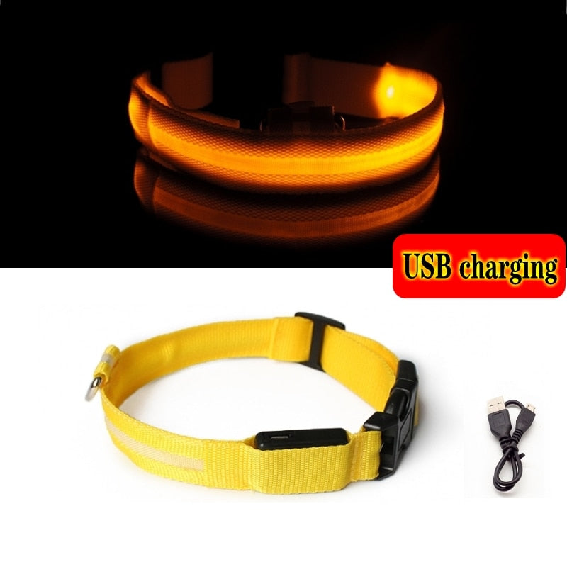 Led Dog Collar Light Anti-lost Collar For Dogs