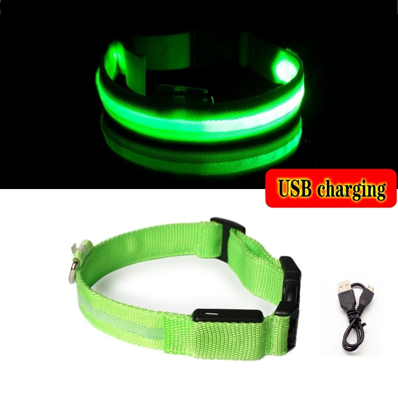 Led Dog Collar Light Anti-lost Collar For Dogs